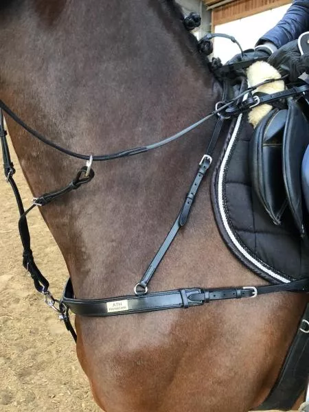 5-Point Breastplate „Milano“